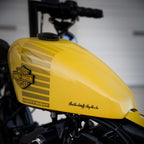Harley Davidson Sportster 48 | Bumblebee