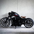 Air Sportster - Nandez Signature Build