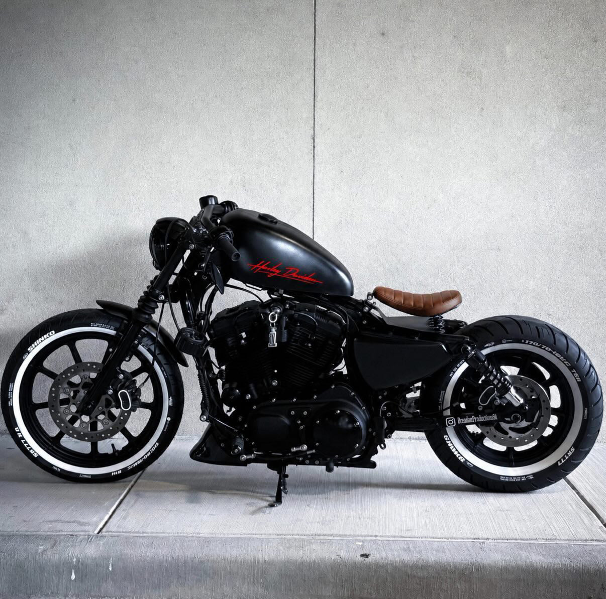 Air Sportster - Nandez Signature Build